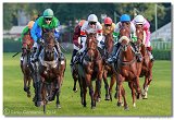 Slovensk Oaks DELUVIS 