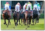 Slovensk Oaks DELUVIS 