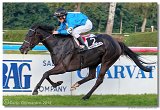 Slovensk Oaks DELUVIS 