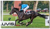 Slovensk Oaks DELUVIS 