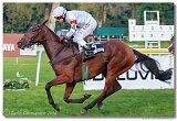 Slovensk Oaks DELUVIS 