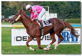 Slovensk Oaks DELUVIS 