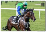 Slovensk Oaks DELUVIS 