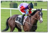 Slovensk Oaks DELUVIS 
