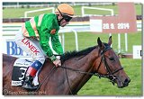 Slovensk Oaks DELUVIS 