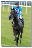 Slovensk Oaks DELUVIS 