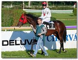 Slovensk St. Leger  