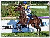 Slovensk St. Leger  
