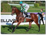 Slovensk St. Leger  