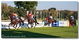 Slovensk St. Leger  