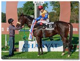 Slovensk St. Leger  