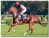 Vek starohjska steeplechase 