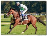 Vek starohjska steeplechase 