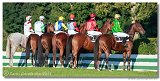 Vek starohjska steeplechase 