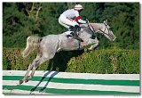 Vek starohjska steeplechase 