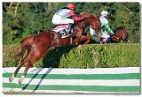 Vek starohjska steeplechase 