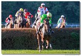 Vek starohjska steeplechase 
