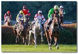 Vek starohjska steeplechase 
