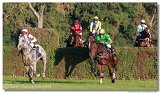Vek starohjska steeplechase 