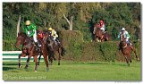 Vek starohjska steeplechase 