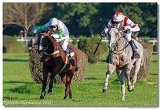 Vek starohjska steeplechase 