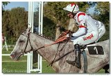 Vek starohjska steeplechase 