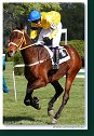 Memoriál Jindřicha Němčanského