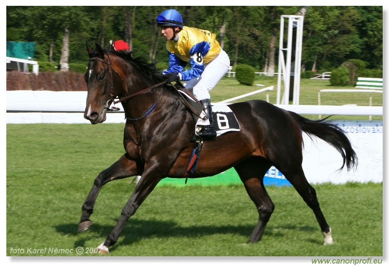 Bratislava - 29. apríla 2007 