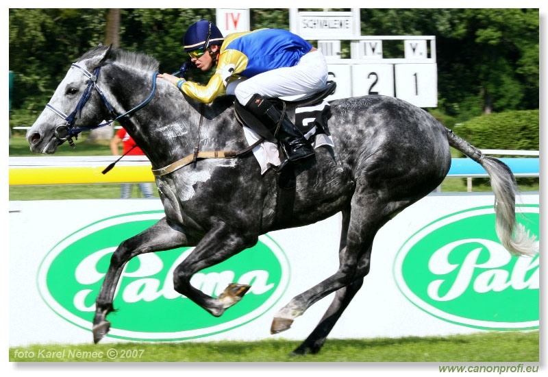 Bratislava - 13. mája 2007 
