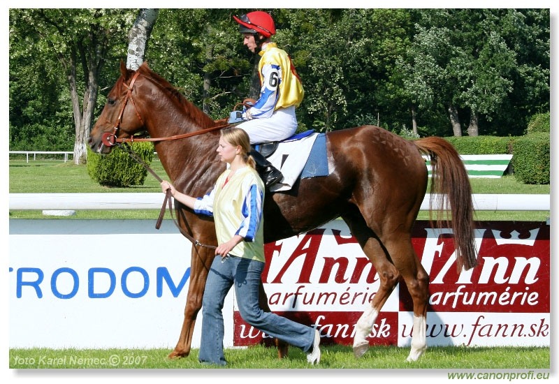 Bratislava - 13. mája 2007 