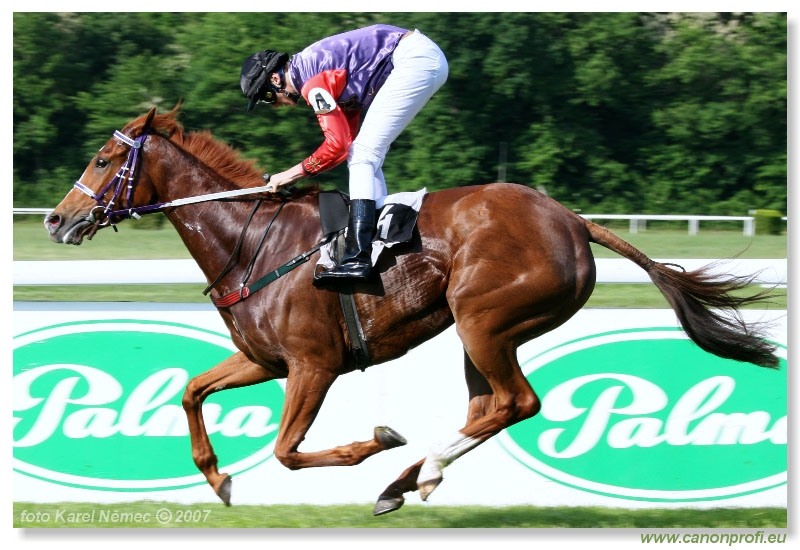 Bratislava - 13. mája 2007 