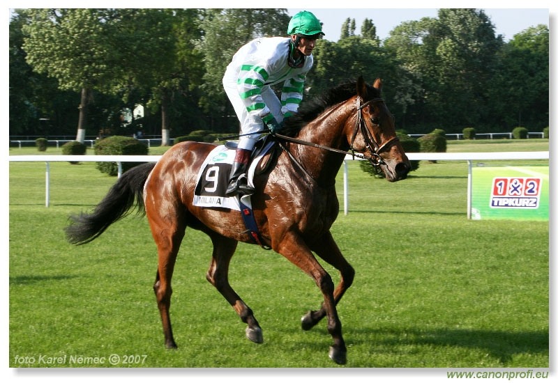 Bratislava - 13. mája 2007 