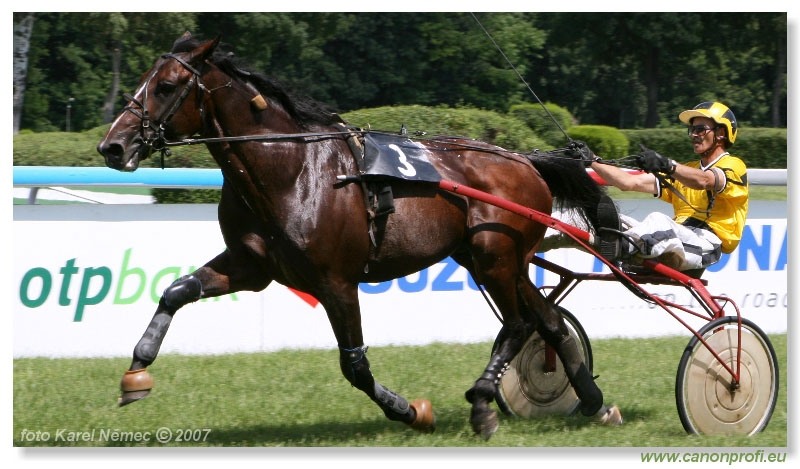 Bratislava - 17. júna 2007 