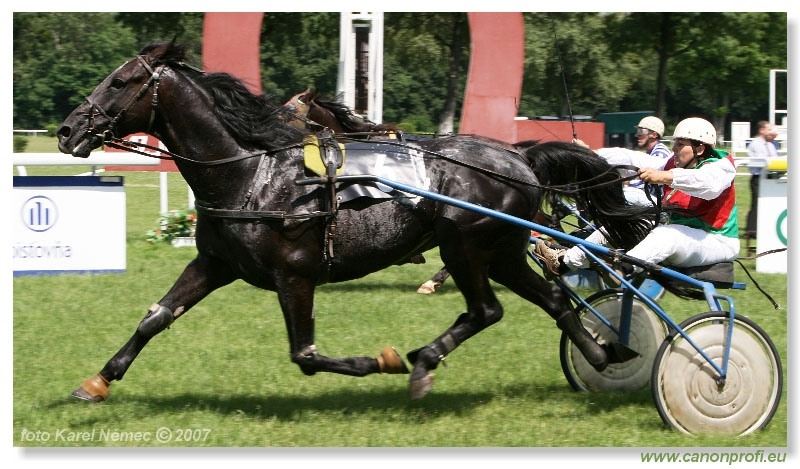 Bratislava - 17. júna 2007 