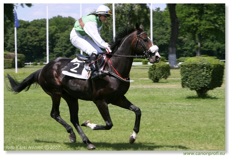 Bratislava - 17. júna 2007 
