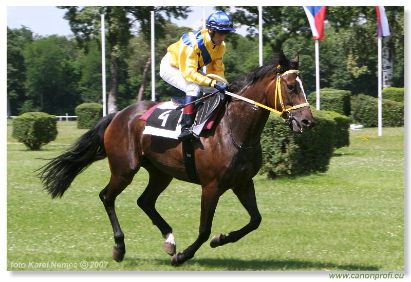 Bratislava - 17. júna 2007 