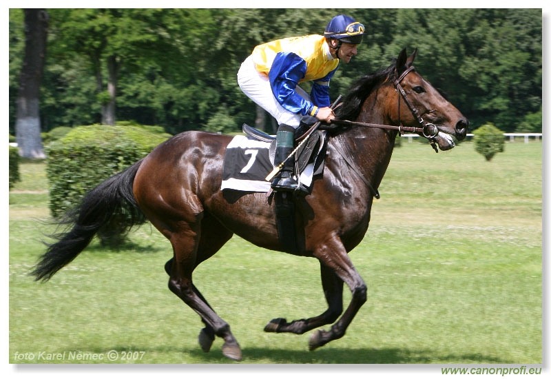 Bratislava - 17. júna 2007 
