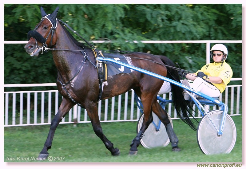 Bratislava - 17. júna 2007 