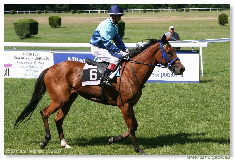 Bratislava - 17. júna 2007 