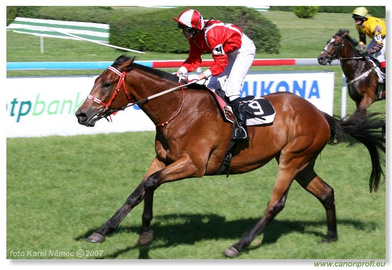 Bratislava - 17. júna 2007 