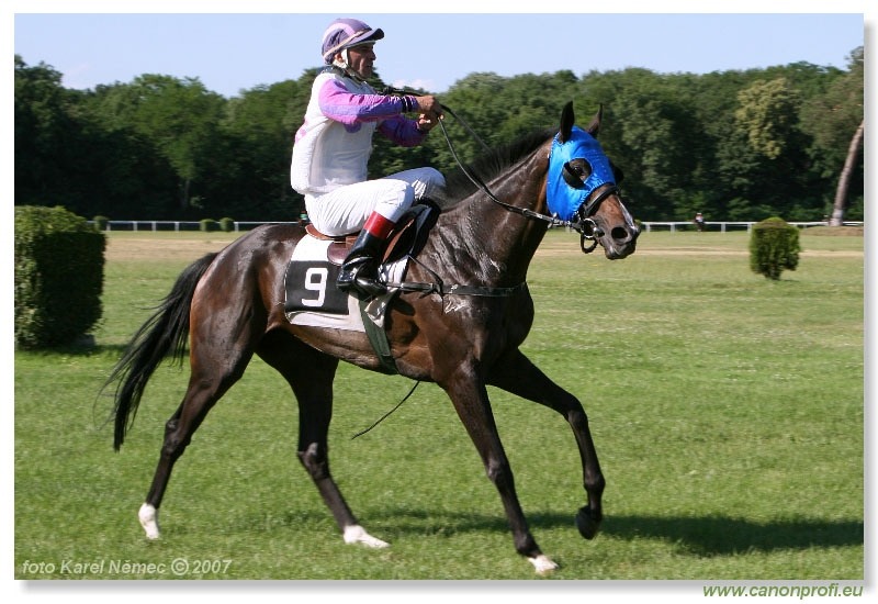 Bratislava - 17. júna 2007 