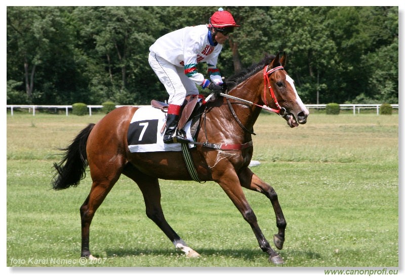 Bratislava - 24. júna 2007 