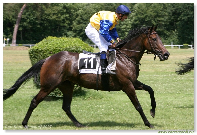 Bratislava - 24. júna 2007 