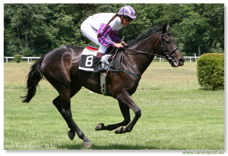 Bratislava - 24. júna 2007 