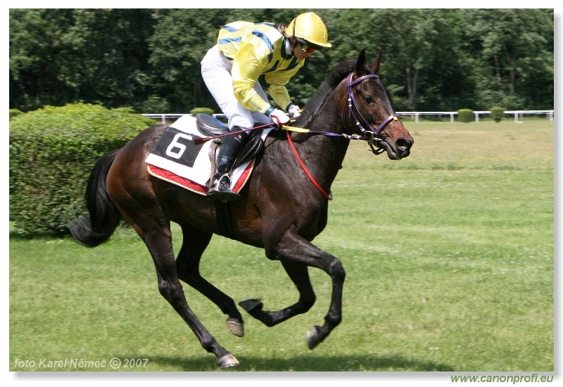 Bratislava - 24. júna 2007 