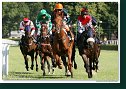 Derby-Trial 