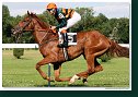 Derby-Trial 