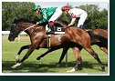 Derby-Trial 