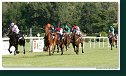 Derby-Trial 