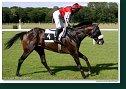 Derby-Trial 